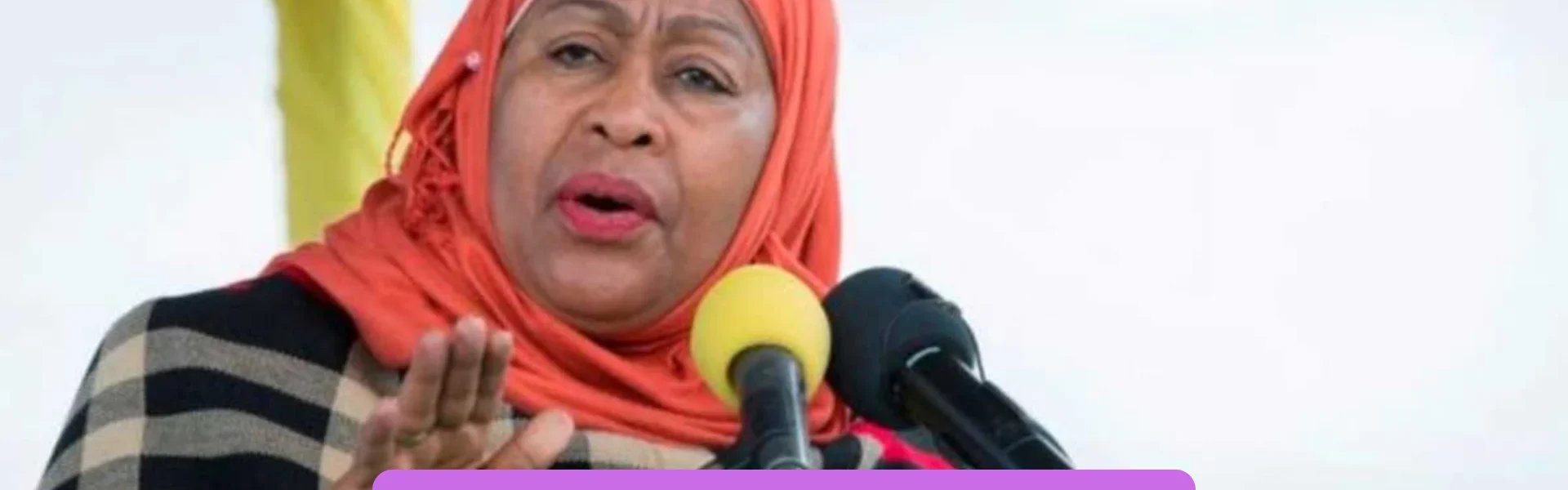 Samia Suluhu Hassan Biography